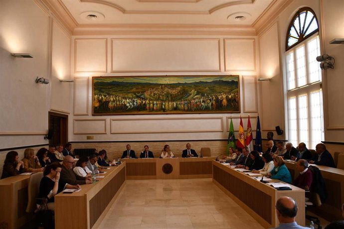 Pleno en la Diputación de Toledo.