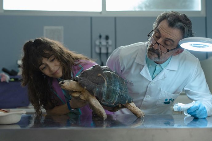Archivo - La temporada 2 de Animal ya tiene fecha de estreno en Netflix