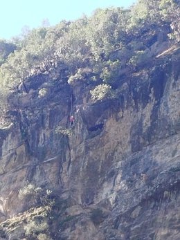 Rescate de las cabras