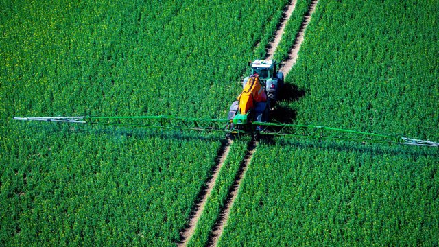 Archivo - FILED - 15 April 2025, Mecklenburg-Western Pomerania, Strahlendorf: An aerial photo taken with a drone shows a tractor pulling a spraying machine over a rapeseed field and sprays pesticide. Photo: Jens Büttner/dpa
