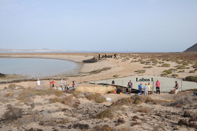 Excavación arqueológica en el islote de Lobos