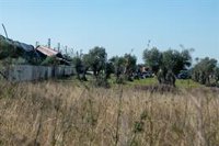 Una pasajera del AVE accidentado: "Sólo recuerdo dar vueltas en el suelo"