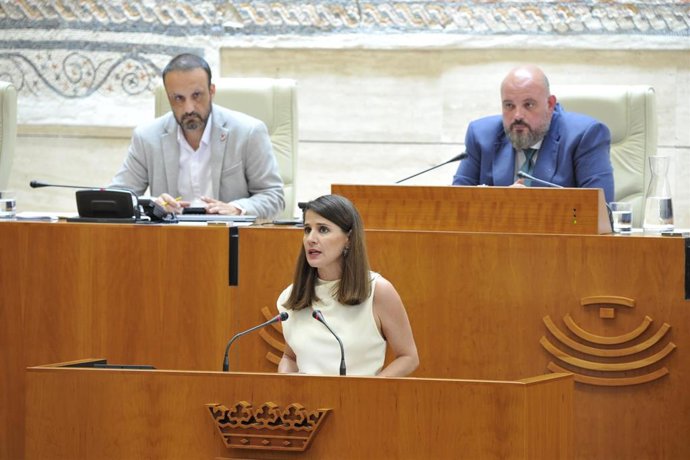 Archivo - La portavoz del Grupo Parlamentario Socialista, Isabel Gil Rosiña, en una foto de archivo