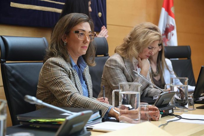 María González Corral expone el proyecto de presupuestos de Medio Ambiente y Energía en la Comisión de Economía y Hacienda