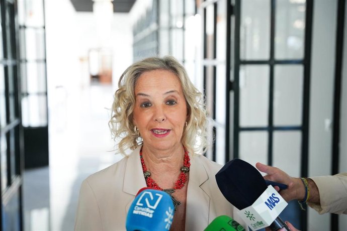 La fiscal Superior de Andalucía, Ceuta y Melilla, Ana Tárrago, atiende a los medios en una imagen de archivo.