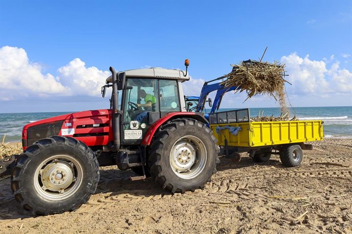 Un tractor neteja platges afectades per la dana Adam