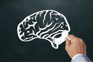 Archivo - Imagen de recurso cerebro.