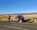 Policía Foral refuerza la seguridad vial en la NA-5330 por batidas de jabalíes en el entorno de la Laguna de Pitillas