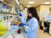Foto: CIC biomaGUNE diseña un nuevo agente de contraste que detecta la fibrosis cardiaca y reduce su avance