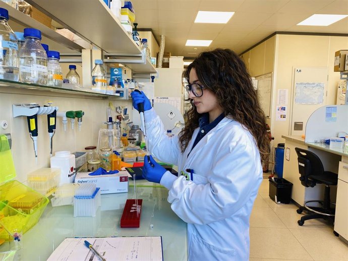 CIC biomaGUNE diseña un nuevo agente de contraste que detecta la fibrosis cardiaca y reduce su avance
