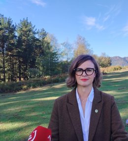 Elixabete Etxanobe, diputada general de Bizkaia.