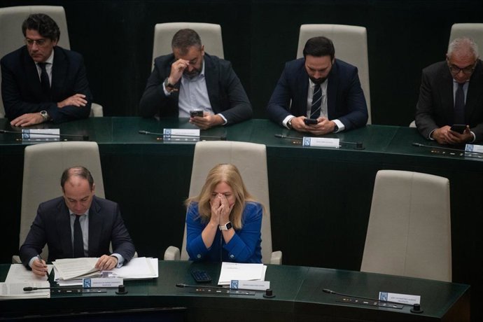 La primera teniente de alcalde, Inmaculada Sanz (c), durante el pleno municipal extraordinario del Ayuntamiento de Madrid, a 29 de octubre de 2026, en Madrid (España). El Pleno de Cibeles ha arrancado con un respetuoso minuto de silencio por las víctimas 