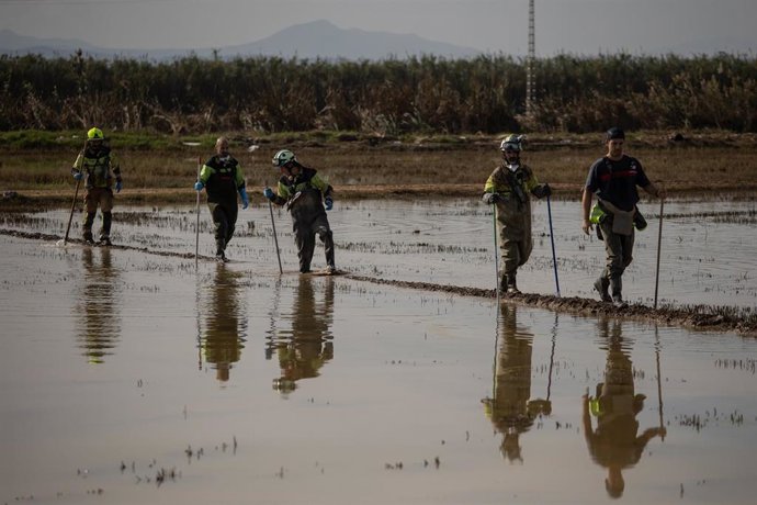 Archivo - Bomberos durante la búsqueda de cadáveres en la Albufera de Valencia, tras el paso de la dana, a 9 de noviembre de 2024, en Valencia, Comunidad Valenciana (España). 