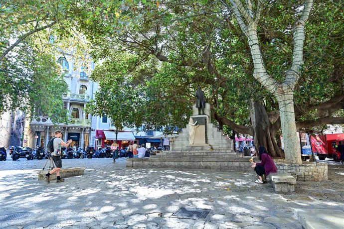 Plaza del Mercat de Palma.