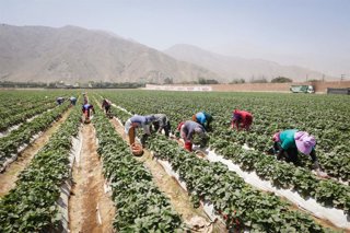 Perú.- CADE Ejecutivos 2026: plantean cinco prioridades para el desarrollo del Perú al 2050
