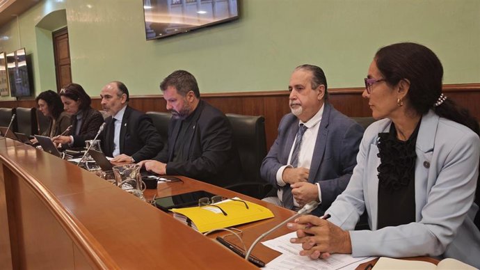 Consejo de Gobierno de la Universidad de Oviedo.