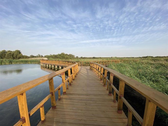 Archivo - Un sendero en el Parque Nacional de las Tablas de Daimiel 