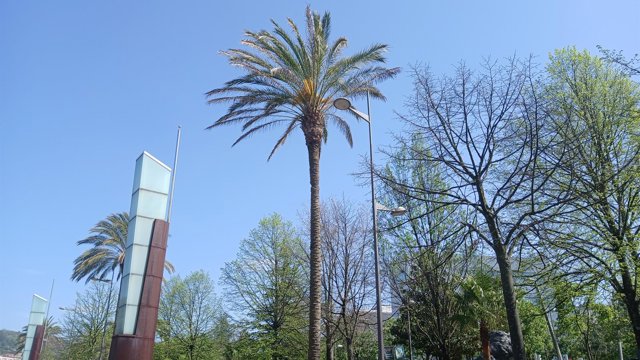 Archivo - Cielo despejado en Bilbao.